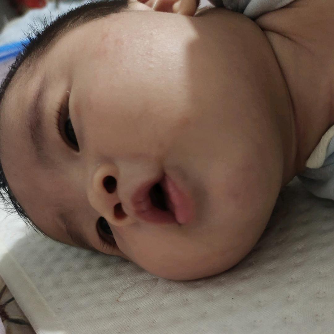 杨大脸的铲屎官