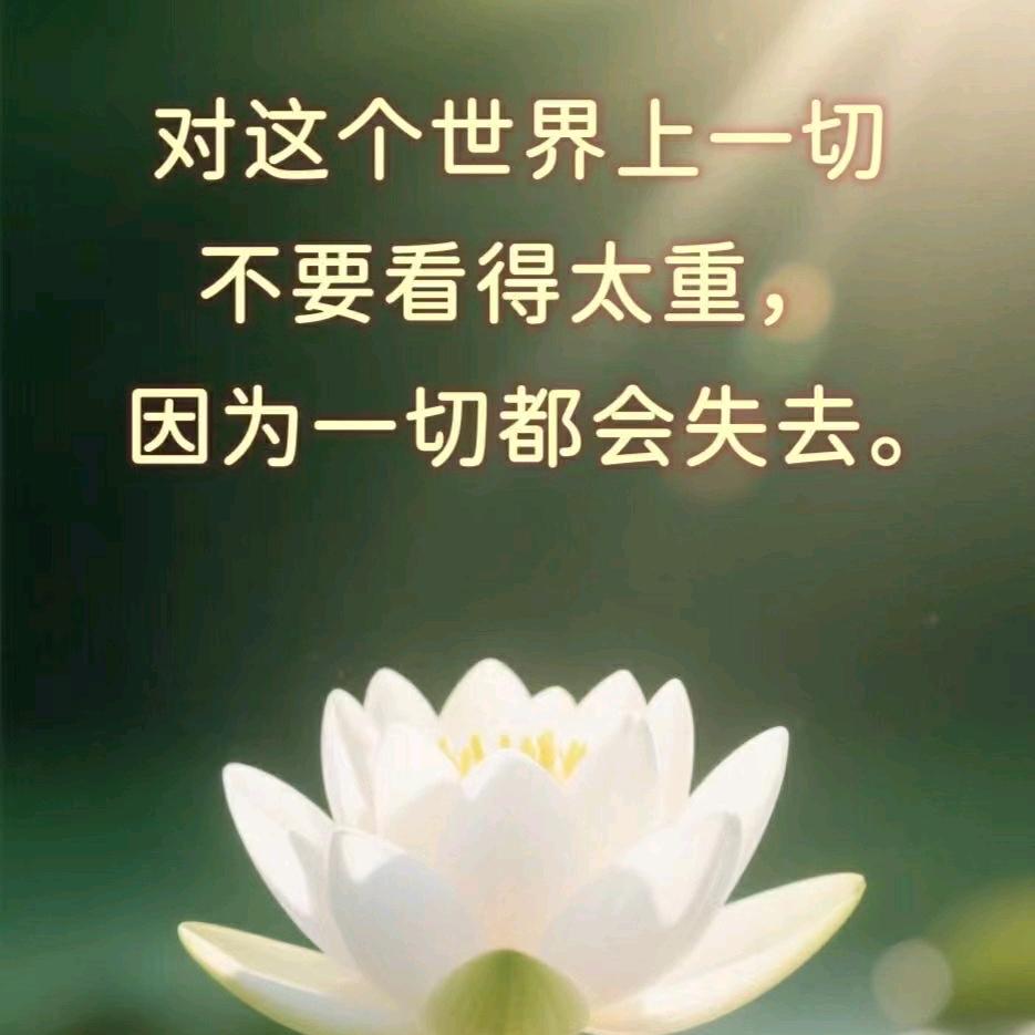 牡丹