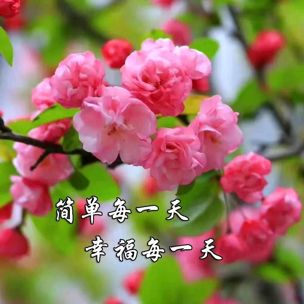 新想事成