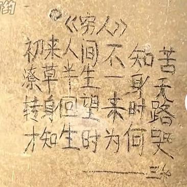 🐠乘🌪风🌪破🌪浪🐬