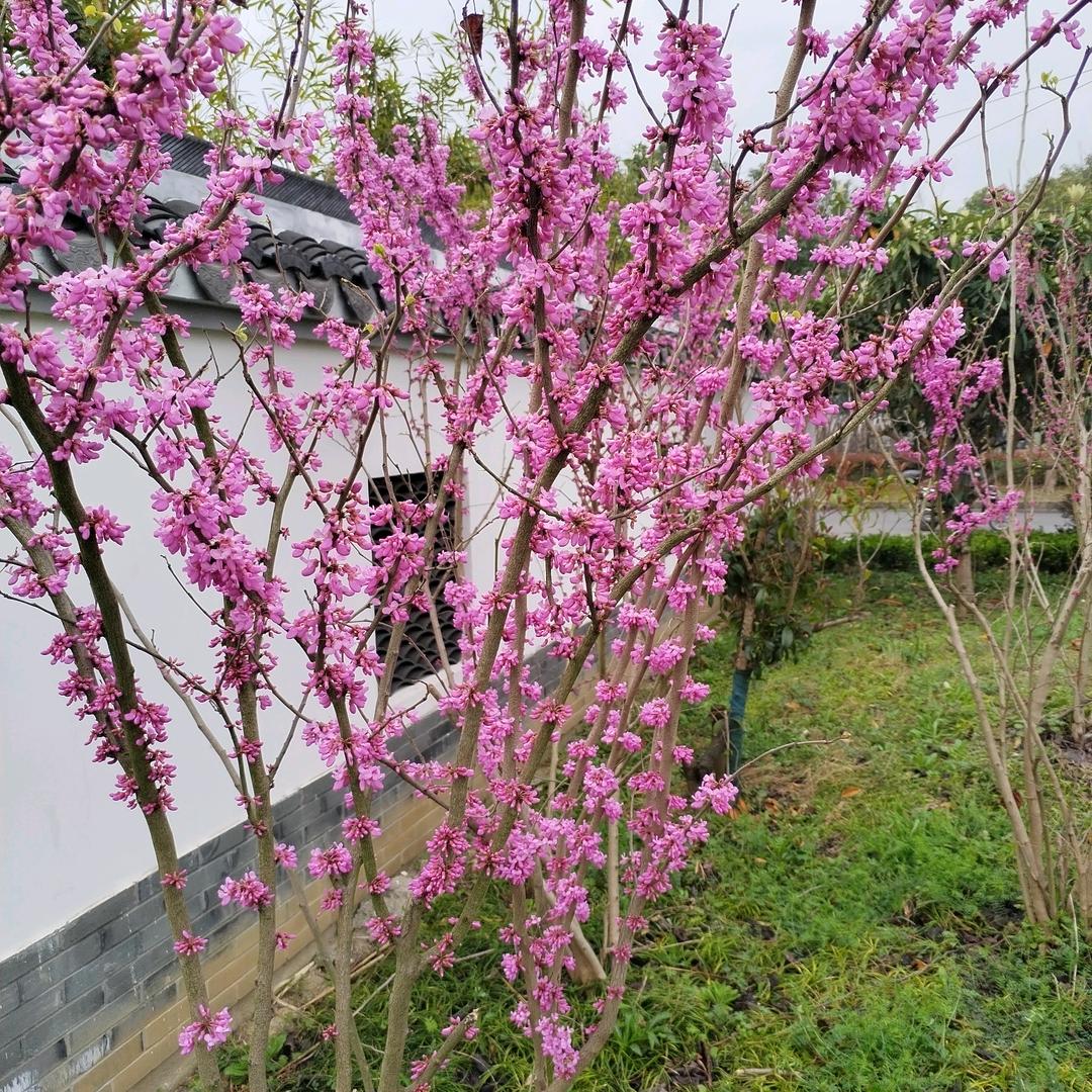 富贵
