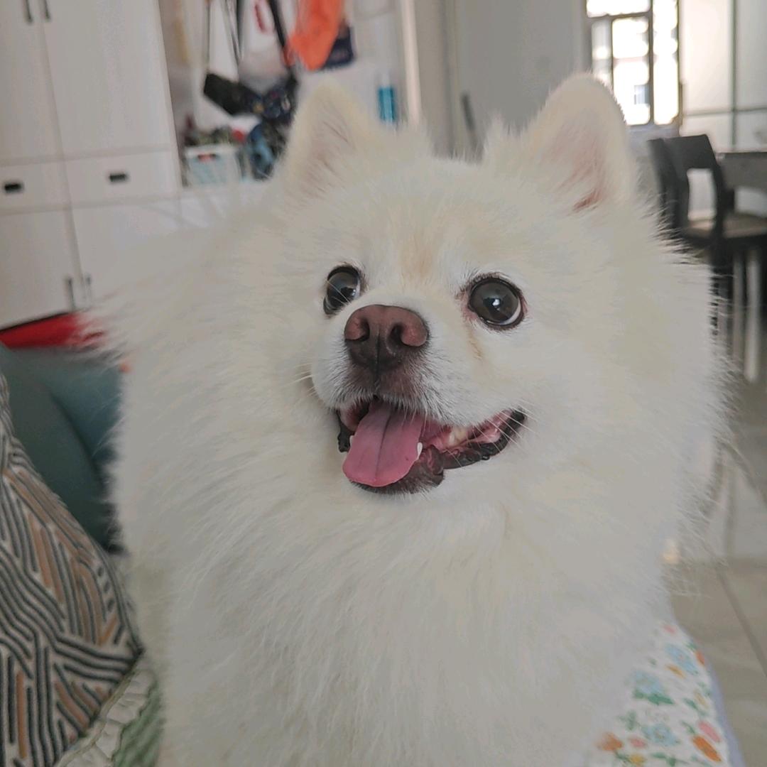 要打去练舞房里打