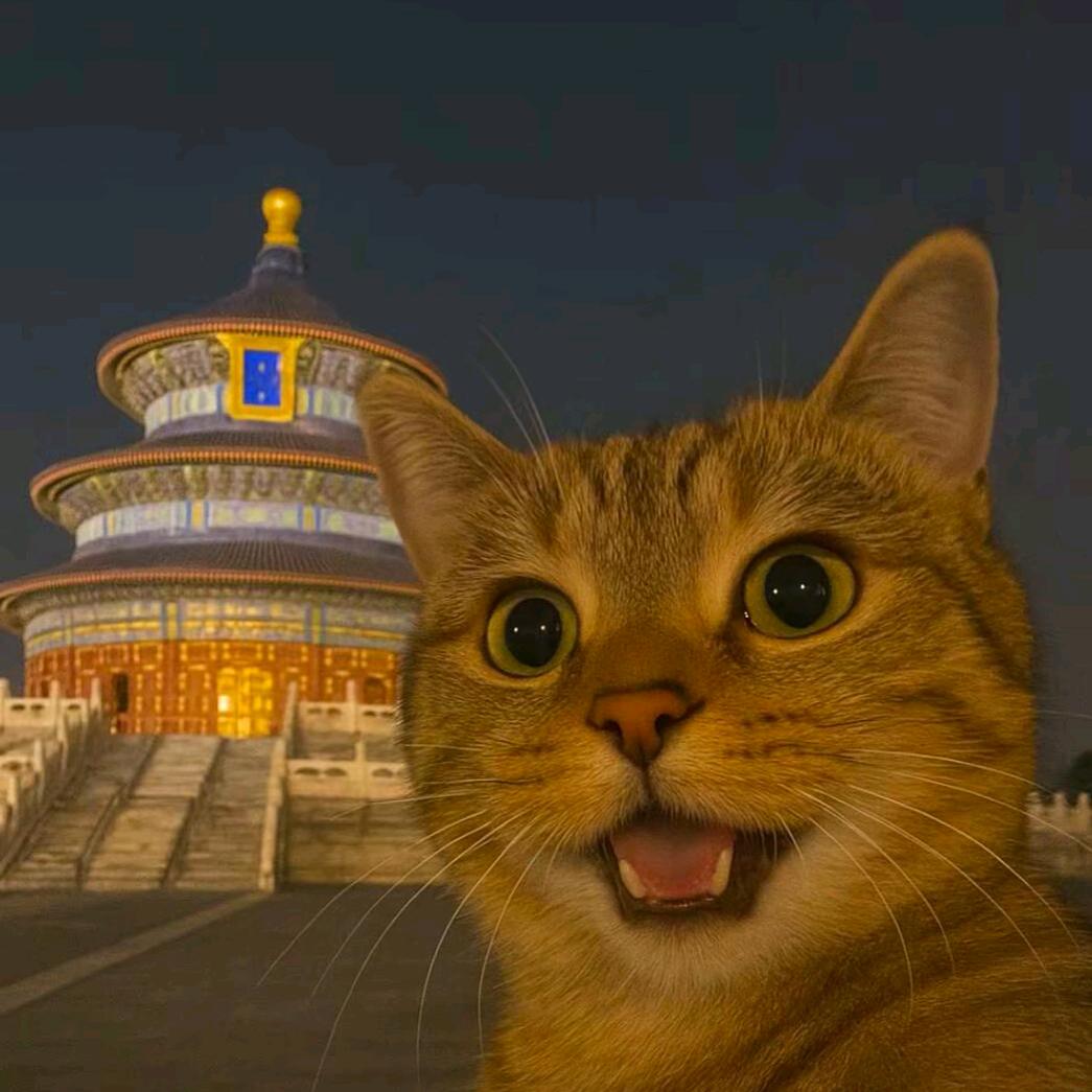 执意