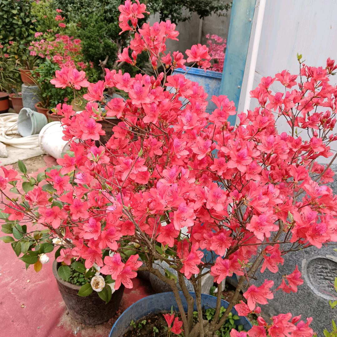 一生保持沉默