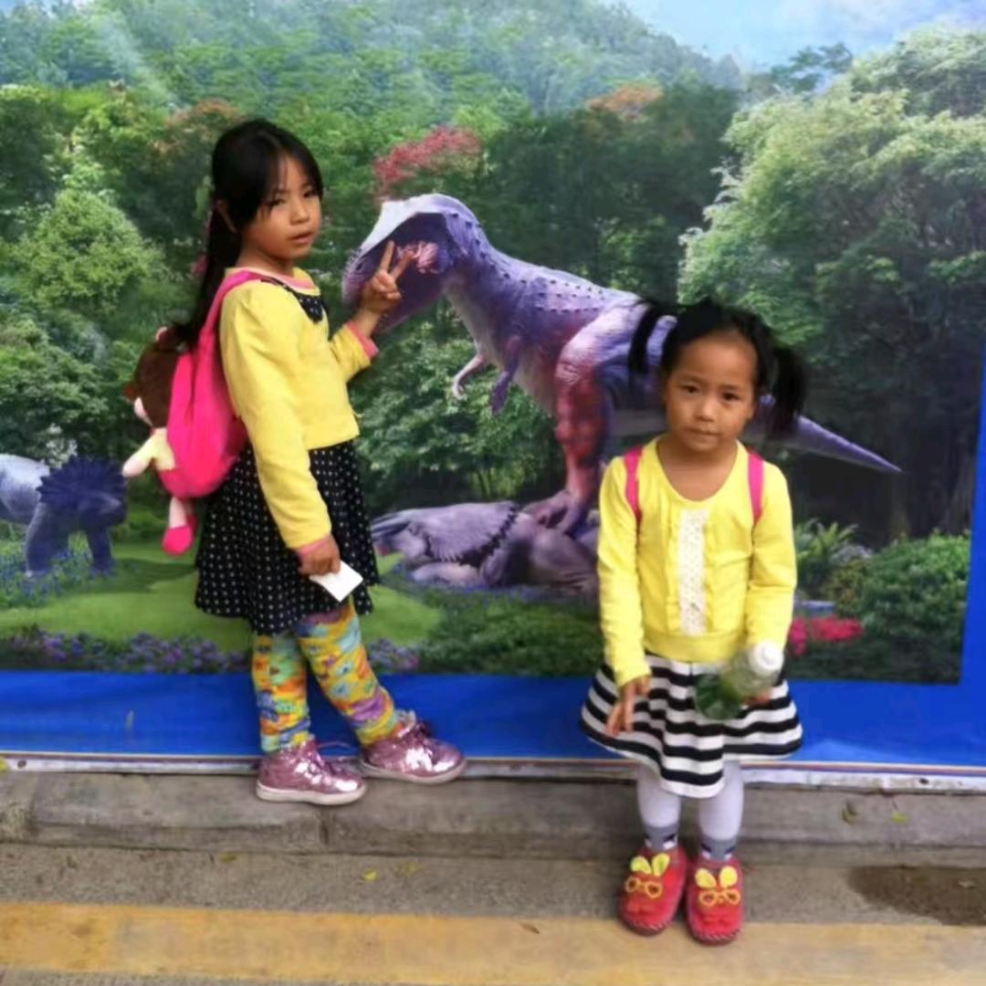 《终是雾中人》