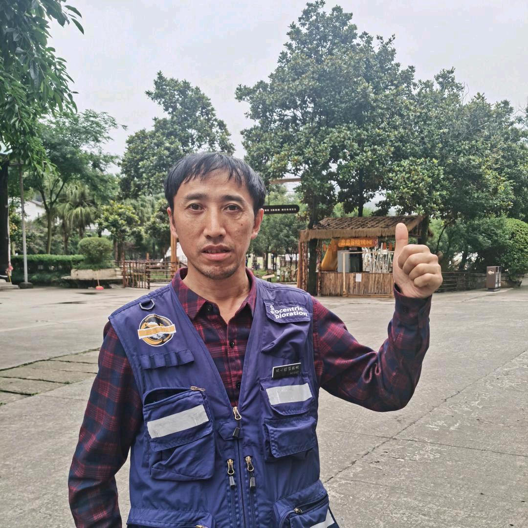 王四哥 地心极地