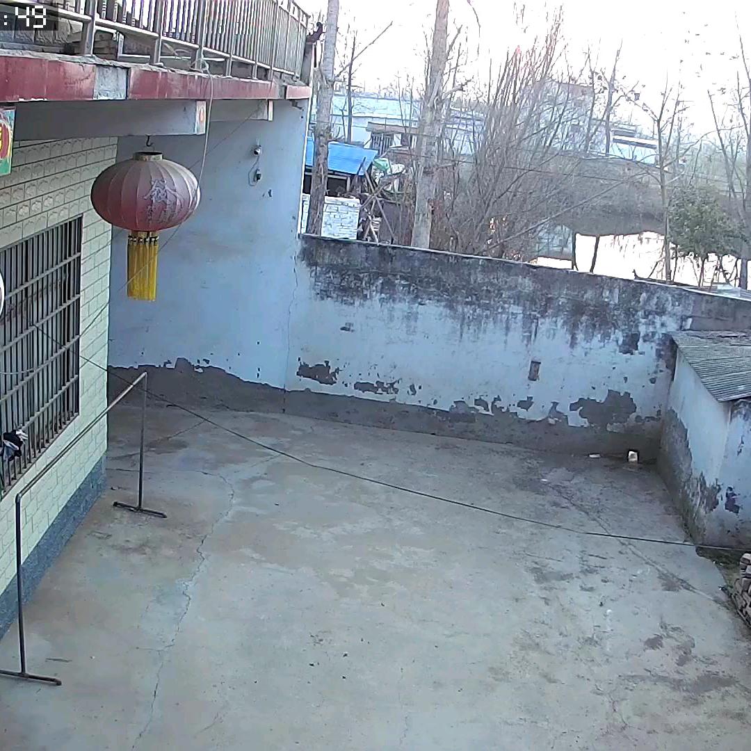 钢筋小哥