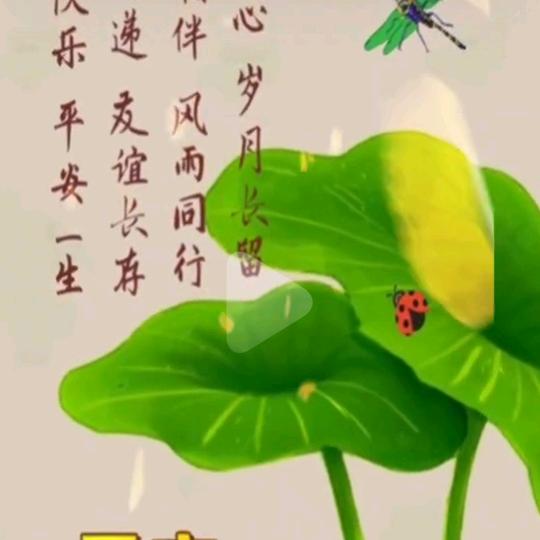 紫月⭐※星辰（拒私聊）