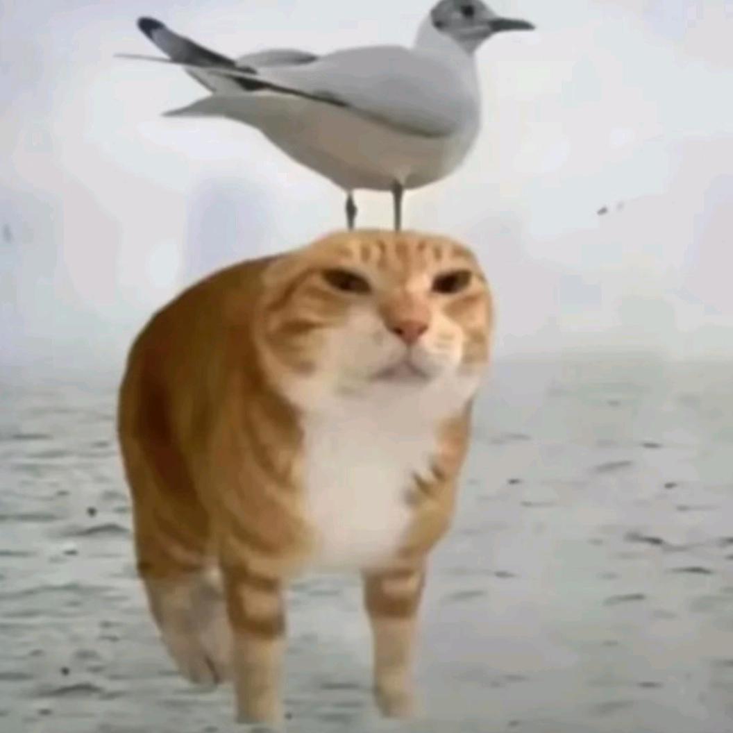 谁能给我钱