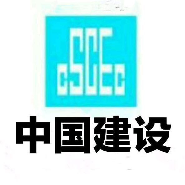 建设工程总指揮👉林总