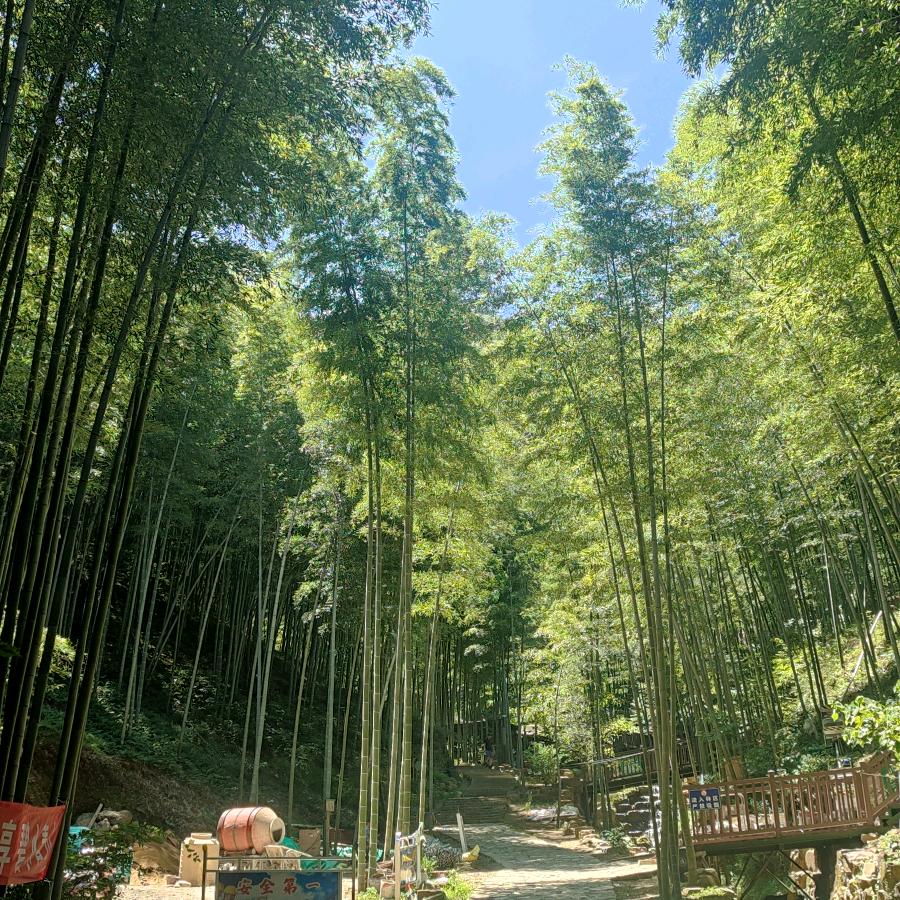 送水到府