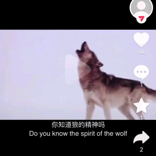 🐺狼道🐺孤勇者