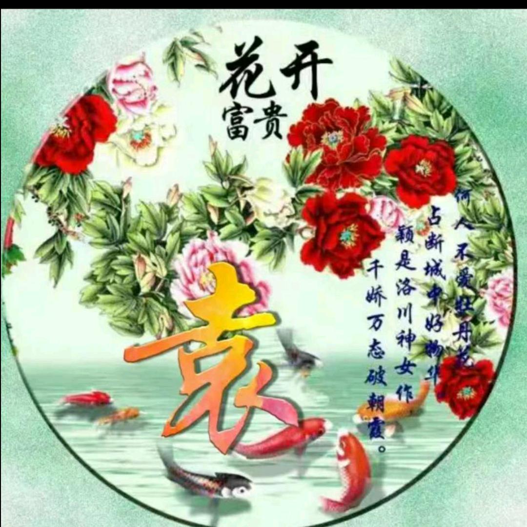 不老松收旧衣服谦合肥康民泰养生会所 推销