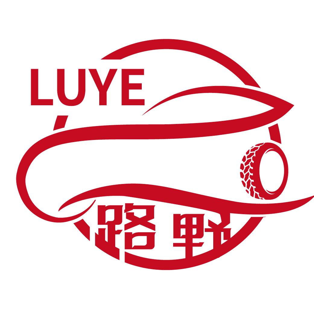 保定路野车改俱乐部·定兴车灯