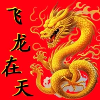 飞龙在天