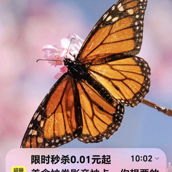 幸运星