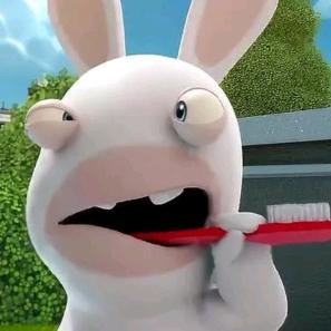 一个普通的网友