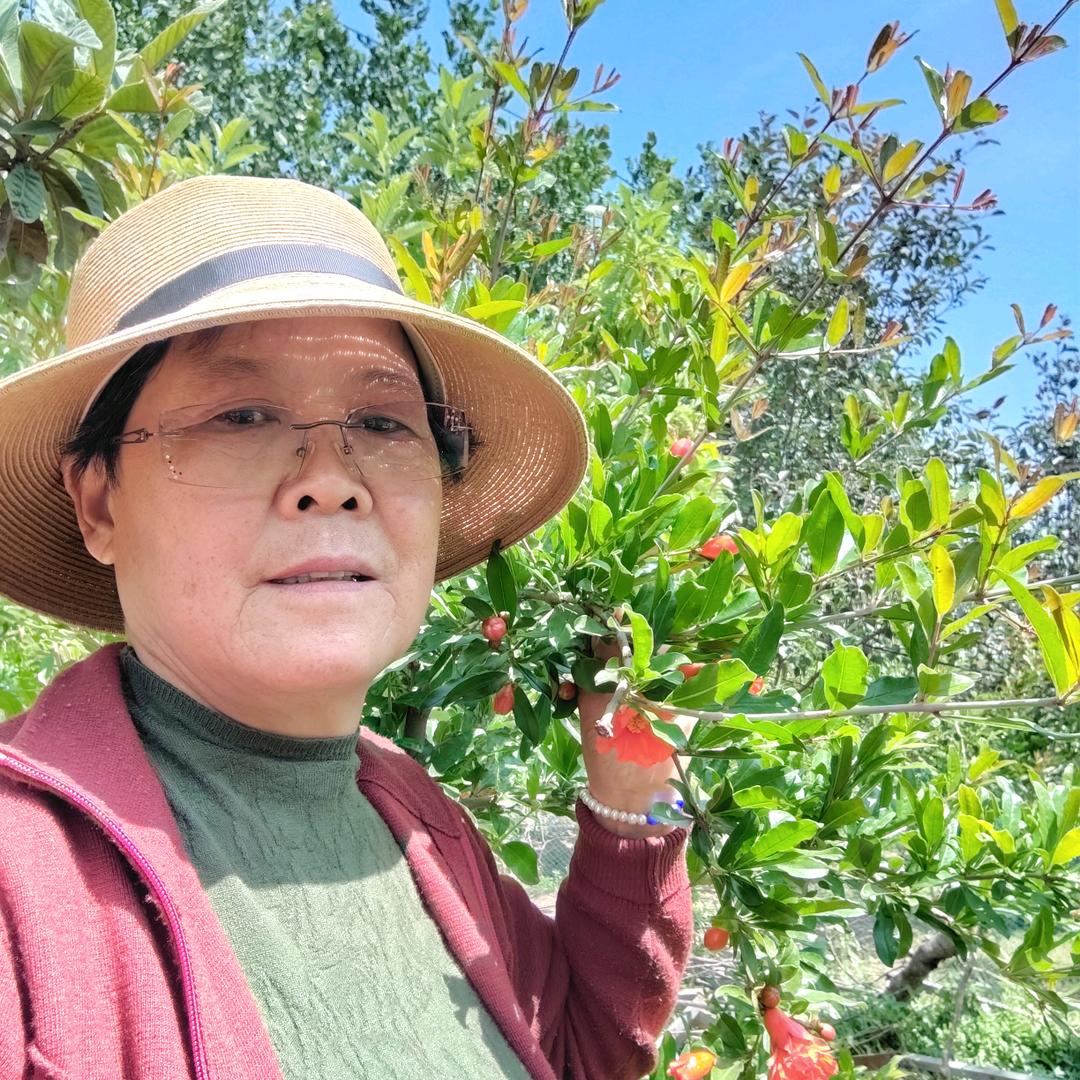 八点半