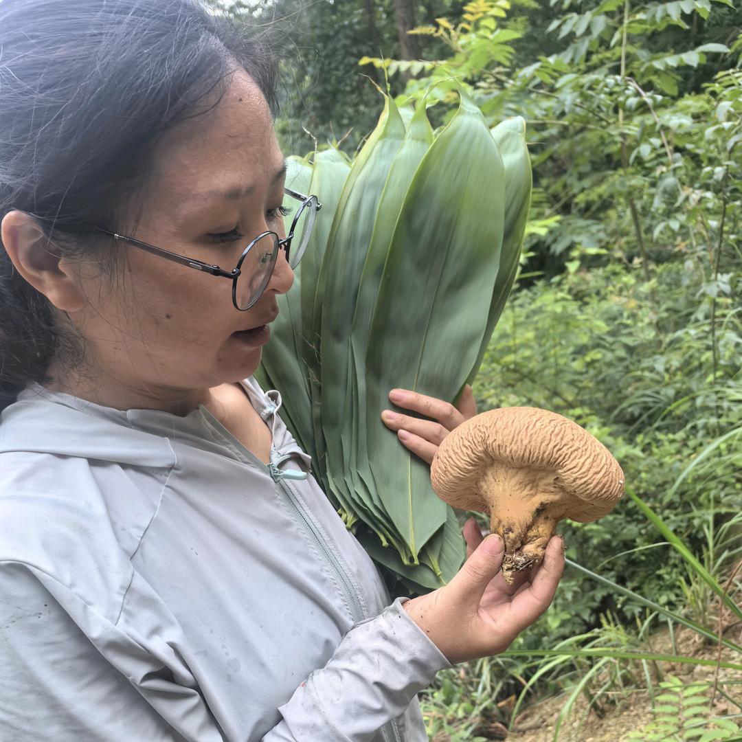 懿心懿意农产品