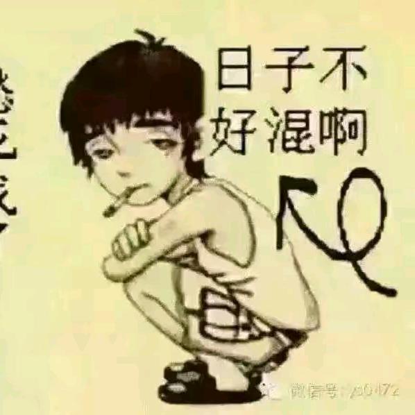 小鱼儿