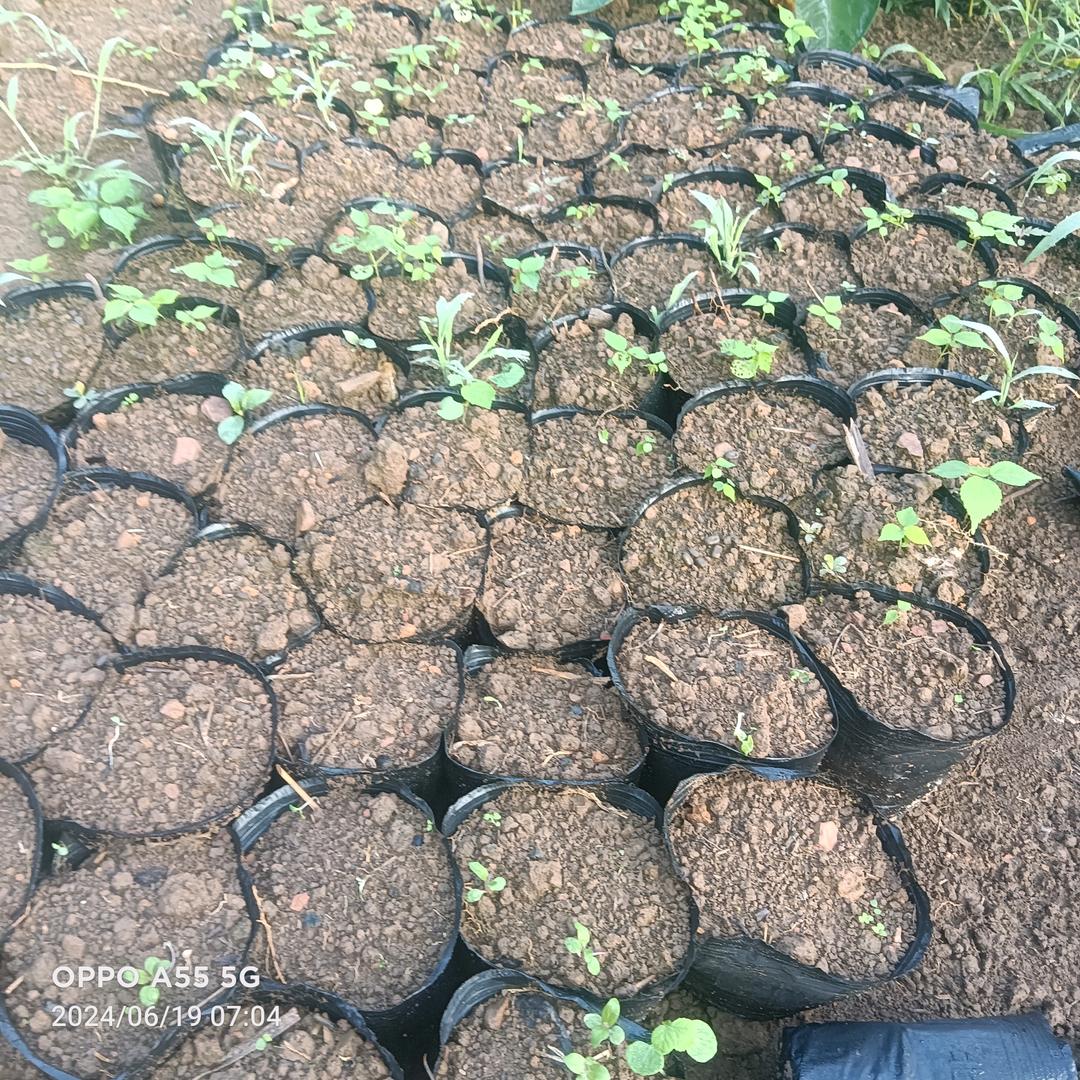 老年生活