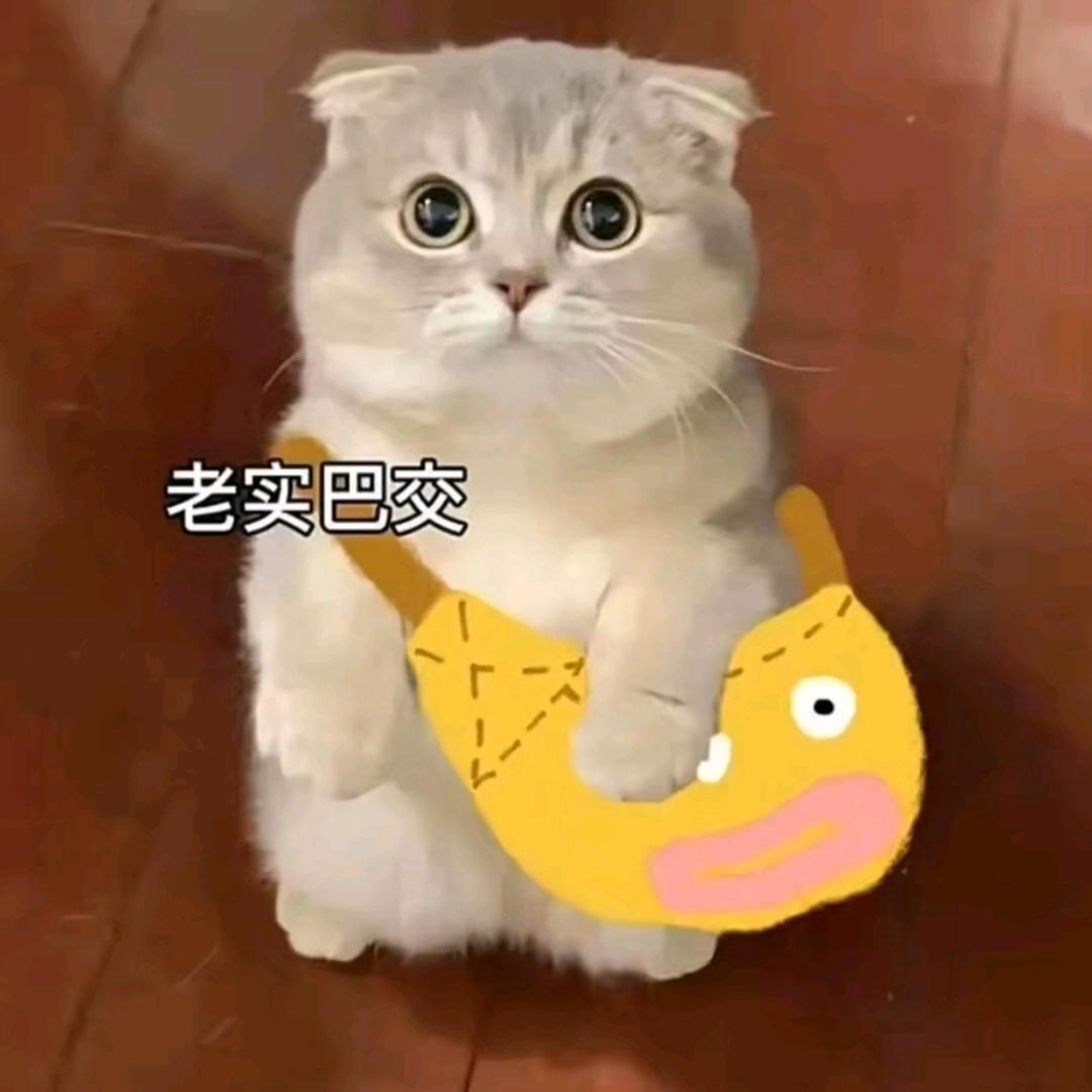 我有辣条你不跟我走