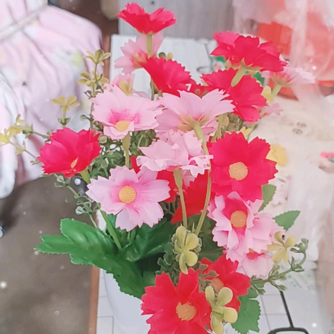 幸福一家人a