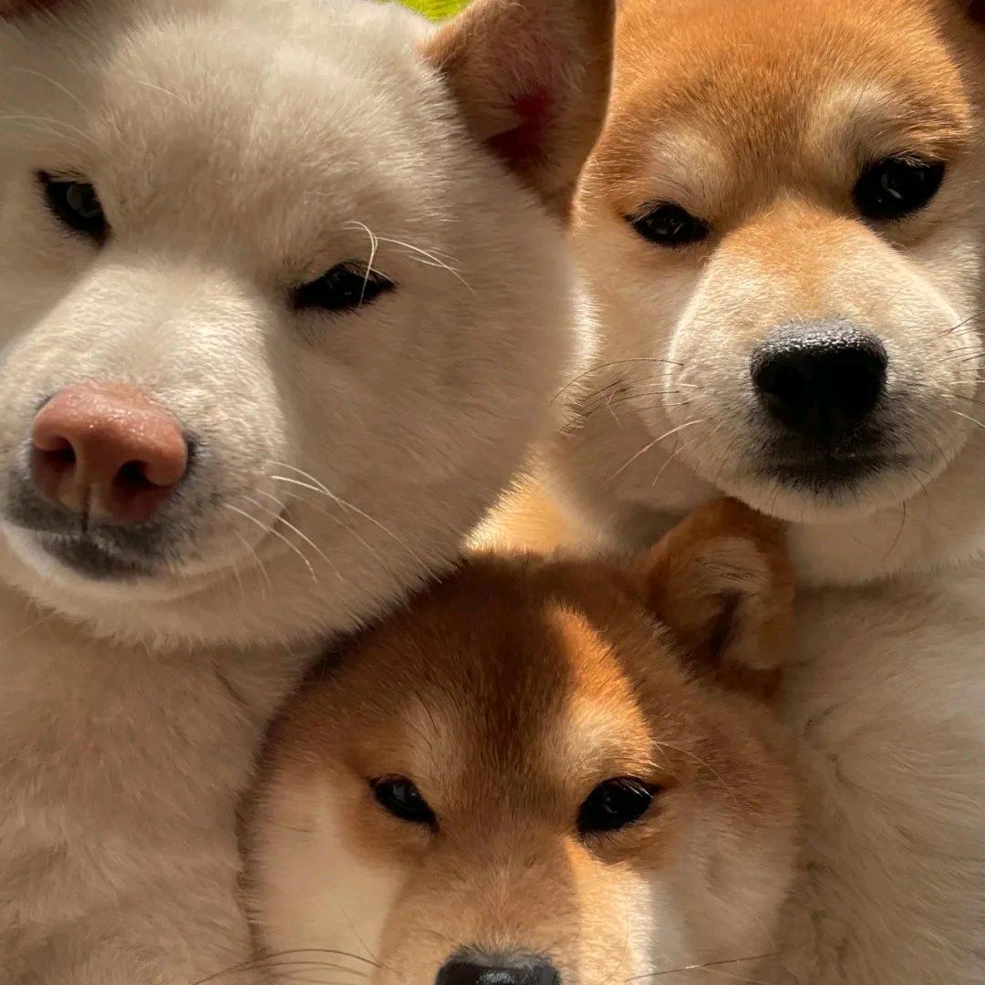 而汌