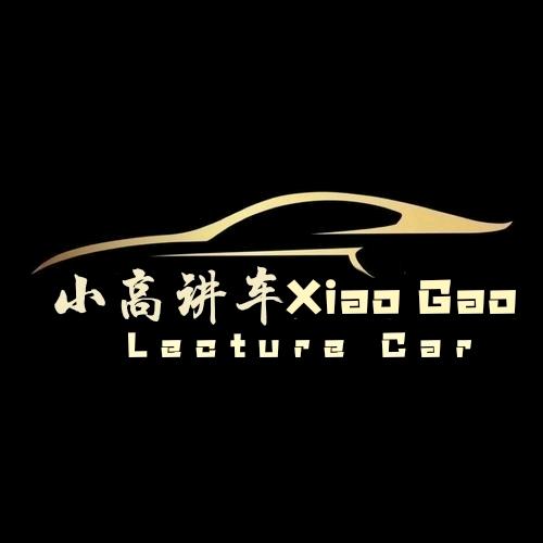 三胖淘车小高讲车（极速拍档）