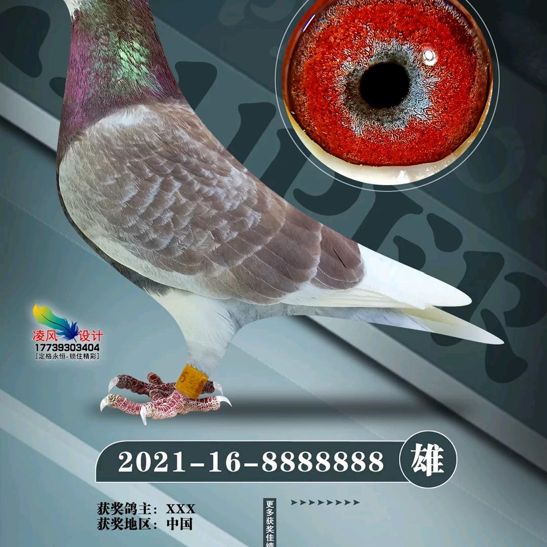 开心兄