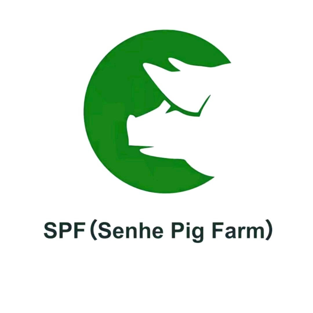森和SPF种猪场