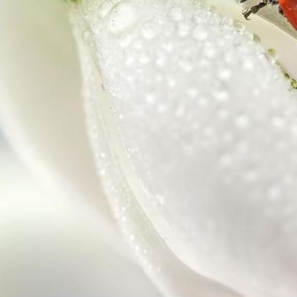 哦睡一觉醒来自己