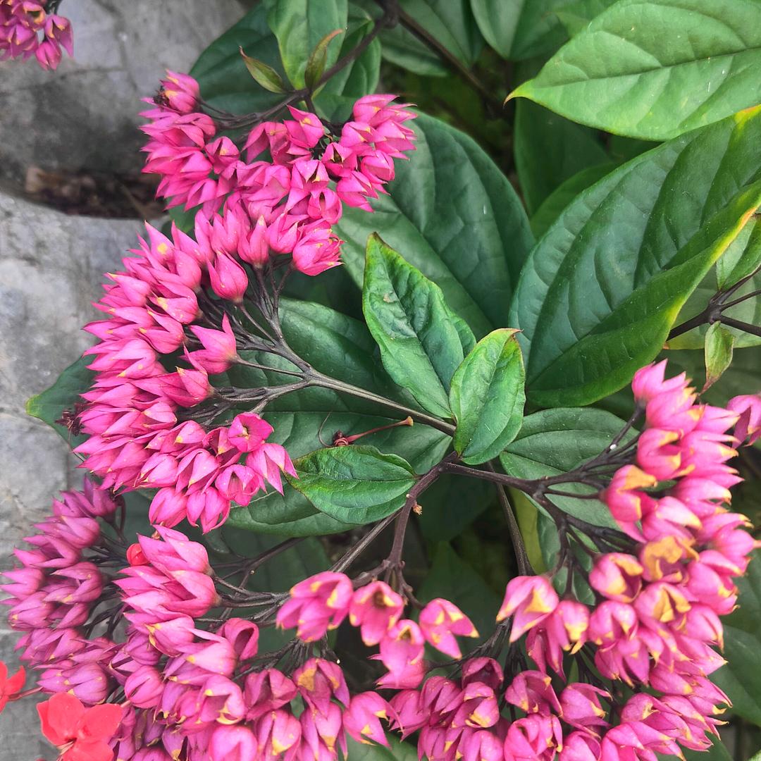 光阴似箭