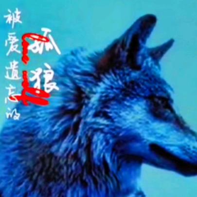 ꧁꫞꯭西佰利亚野狼꫞꧂