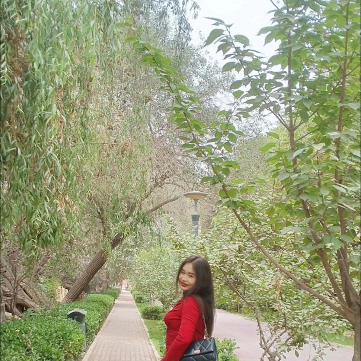 新疆木汗🤗
