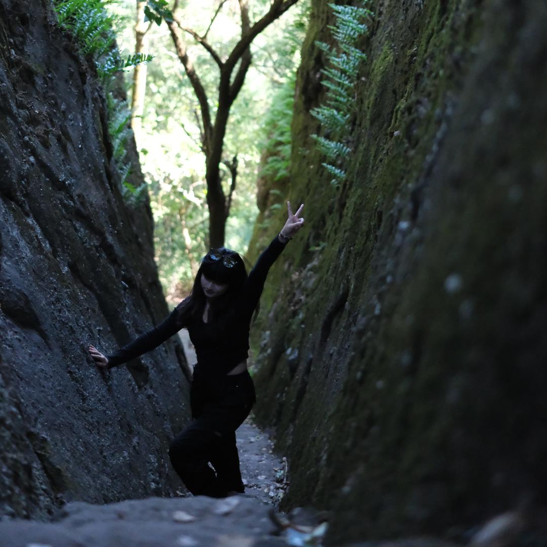 小猪佩奇奇奇奇