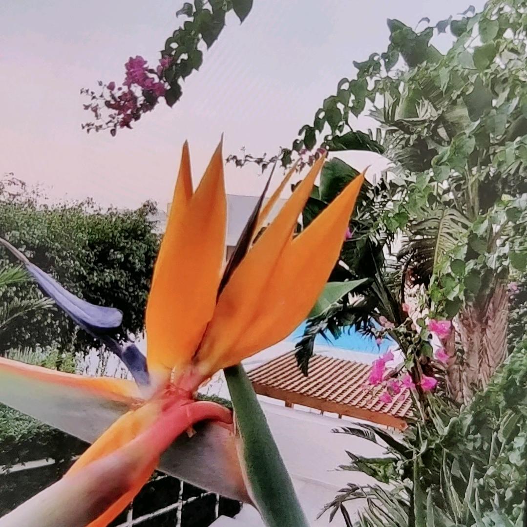 健康平安喜乐 ！🇨🇳🇩🇪💞