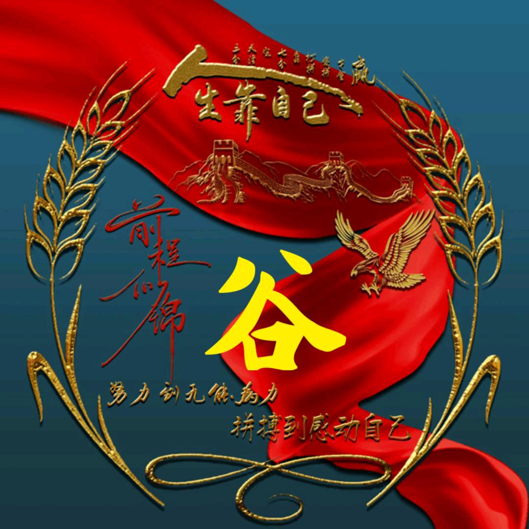 港区宝哥