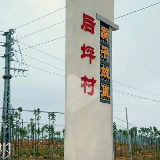 下雨如梦