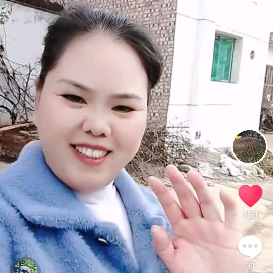 郁金香
