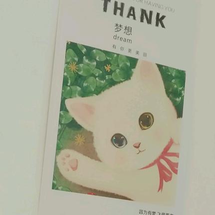 盒学家