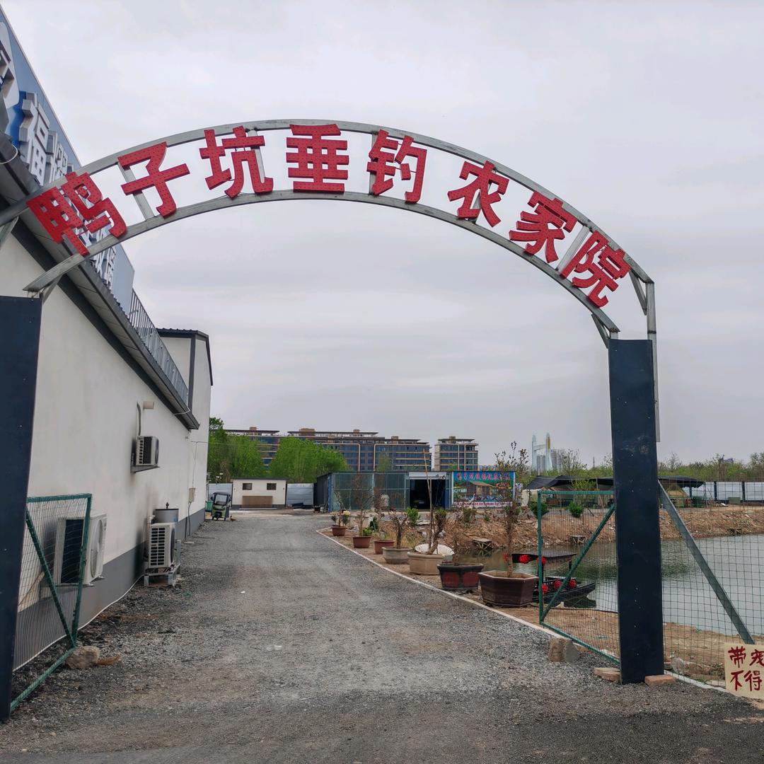 鸭子坑垂钓农家院