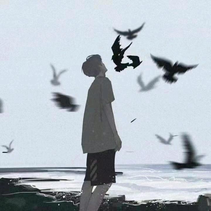优选好物001