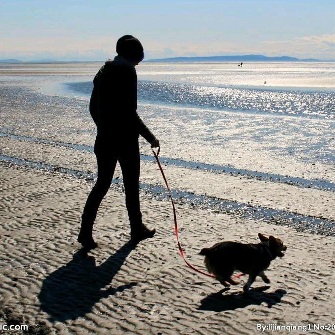 夏天教育张老师