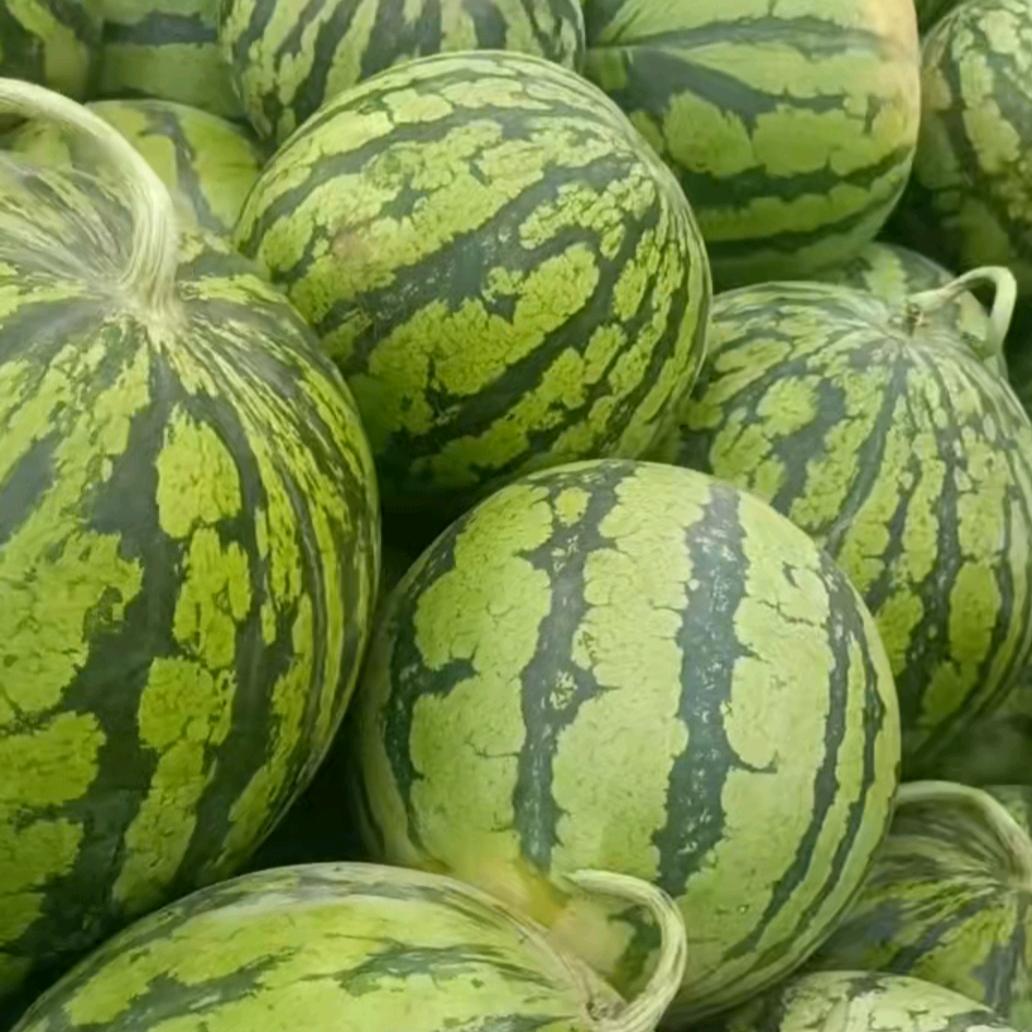 水果摆摊小华（菏泽）