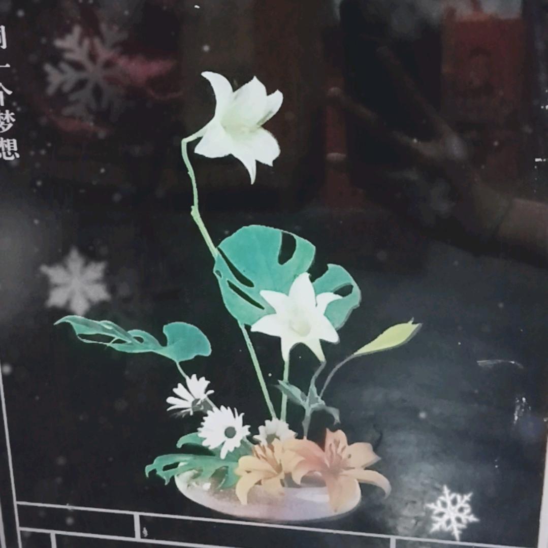 是权力在上
