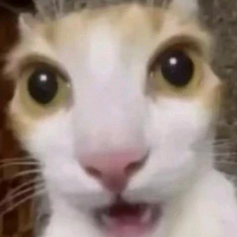 什么时候能暴富