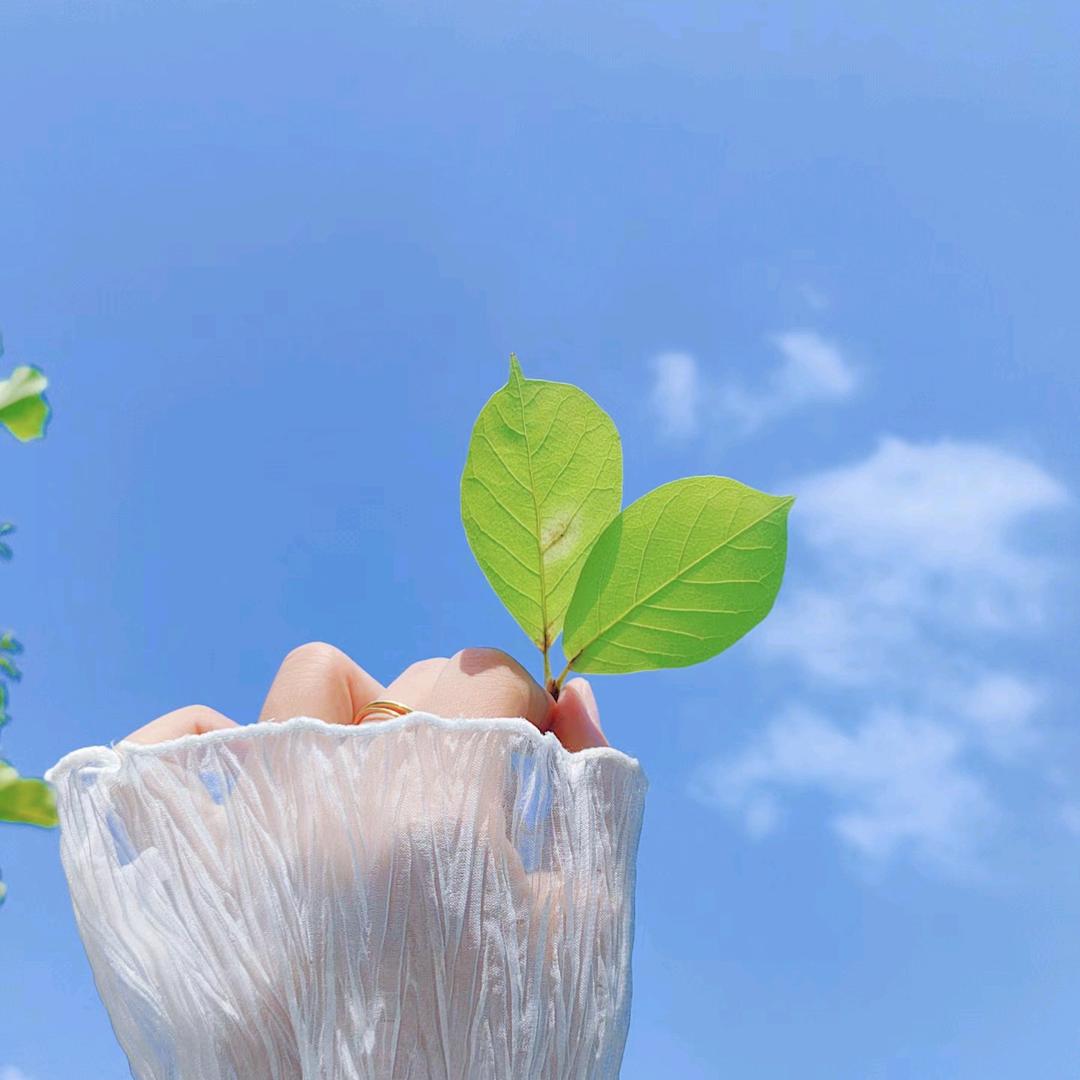 柠檬小姐姐🍋🍋🍋✨