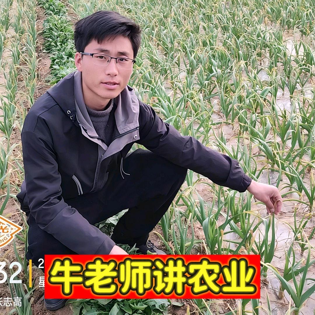 @国光牛老师聊农业