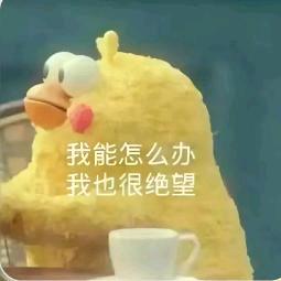 晴宝XQ